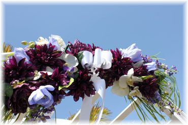 Sarasota Beach Wedding