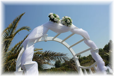 Sarasota Florida Beach Wedding