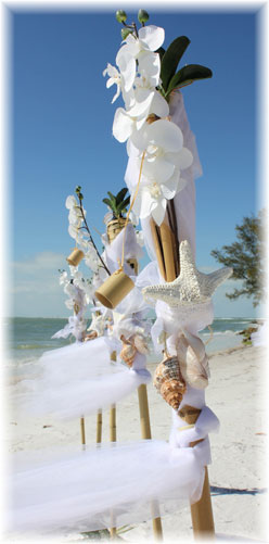 Beach Wedding in Sarasota Florida