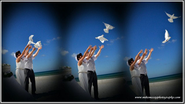 Dove Release At your Beach Wedding