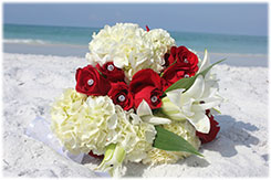 Florida Beach Wedding Planner