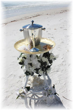 Beach Wedding in Sarasota Florida