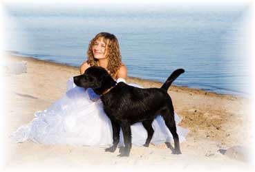 Weddings with Pets in Sarasota Florida