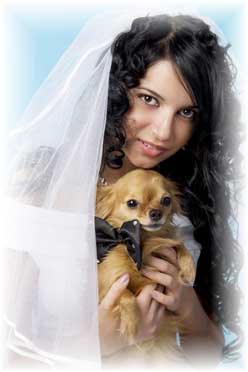 Pet Wedding in Sarasota Florida